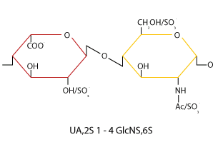 heparin-oligosaccharide-disacc-unit.gif#asset:1663:url